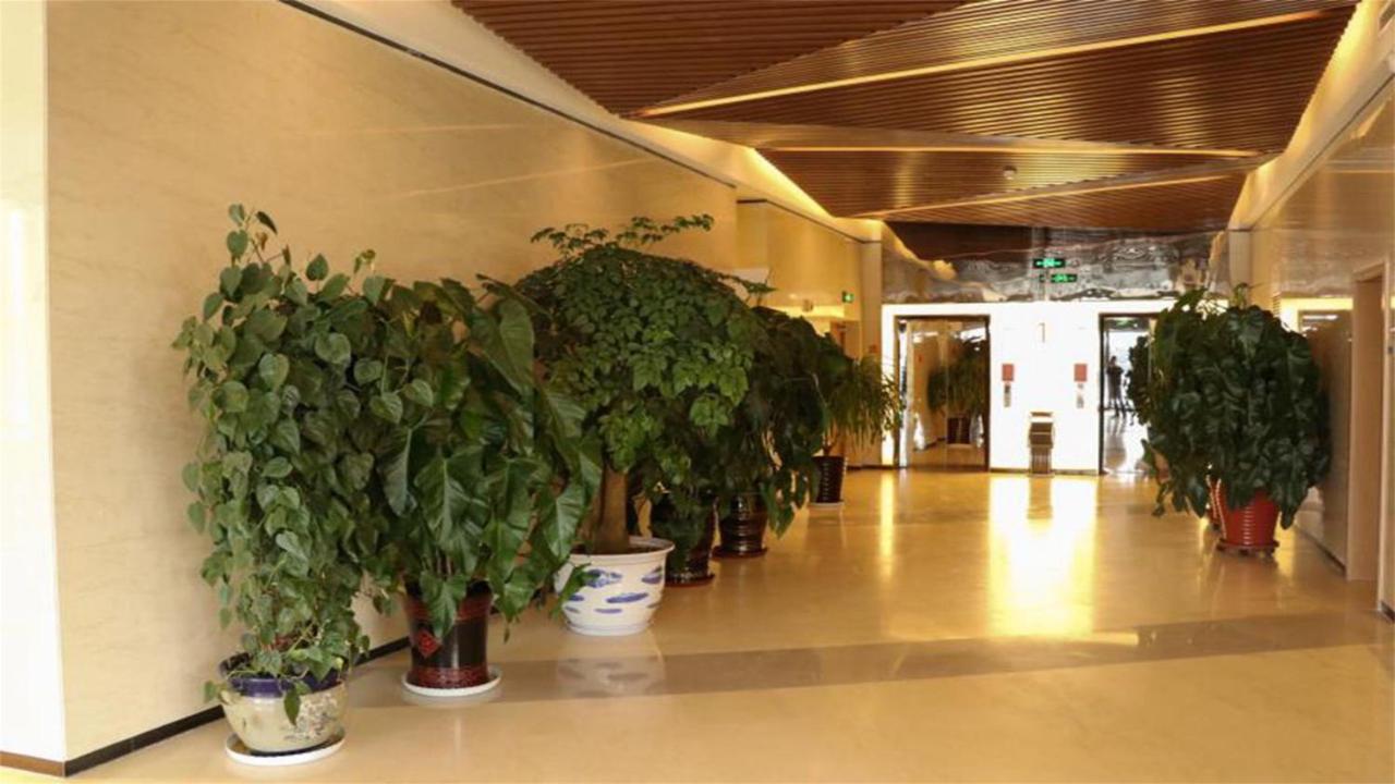Holiday Inn Express Zhangjiakou Park View, An Ihg Hotel Exteriör bild